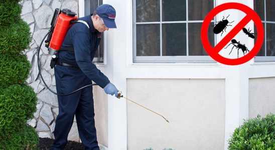 İzmit Dezenfeksiyon böcek ilaçlama ve haşere kontrolü — ilaclama-tr.com